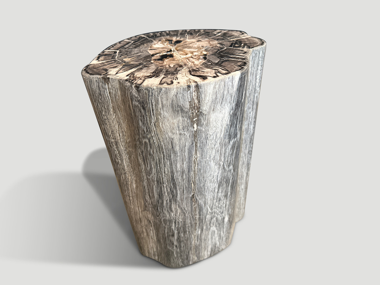 impressive high quality petrified wood side table