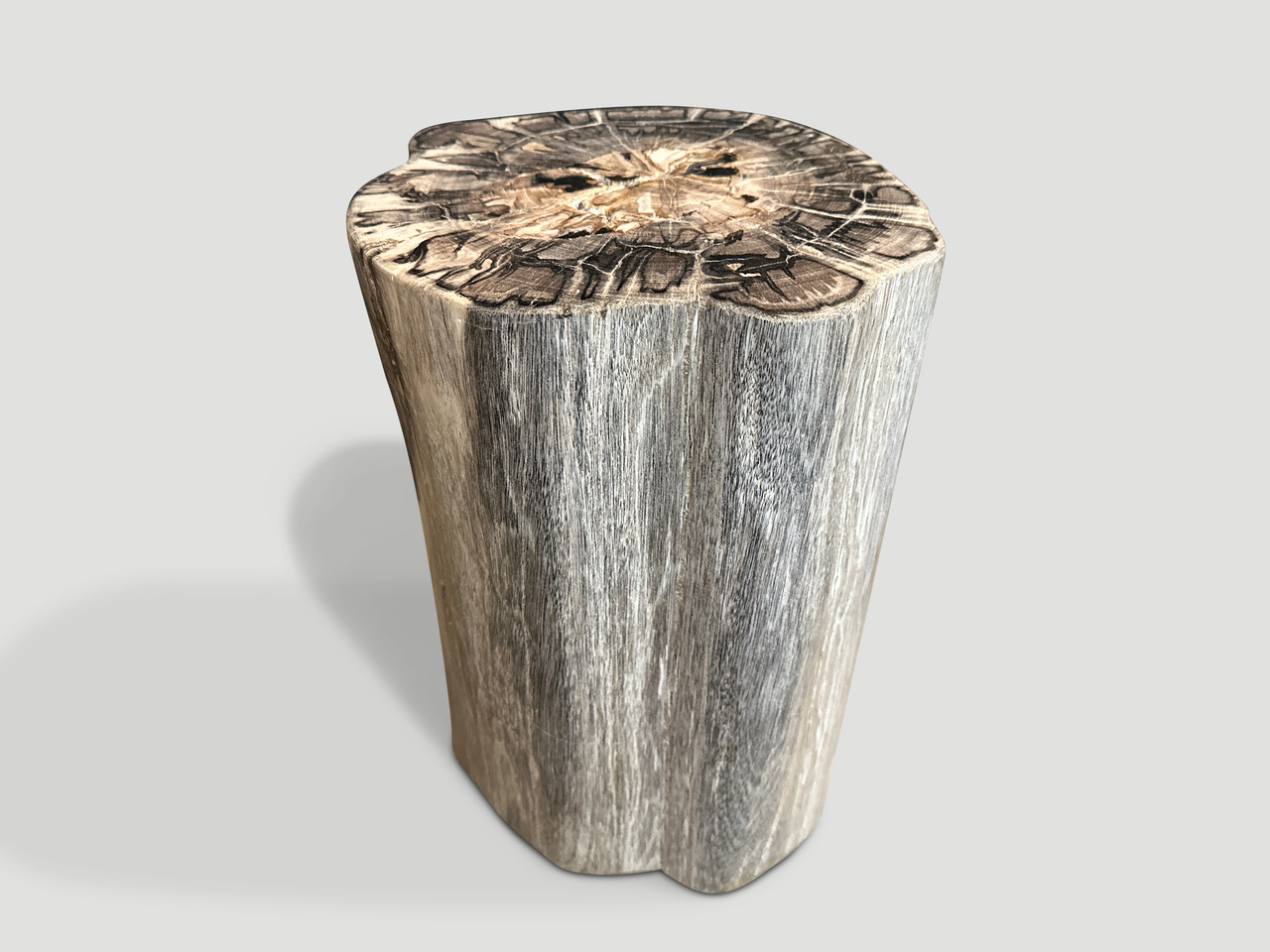 impressive high quality petrified wood side table