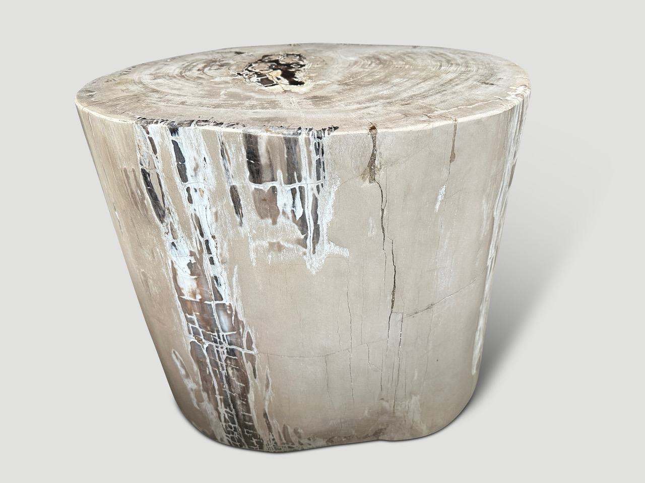 petrified wood side table