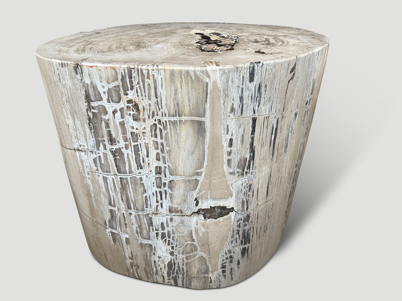 petrified wood side table