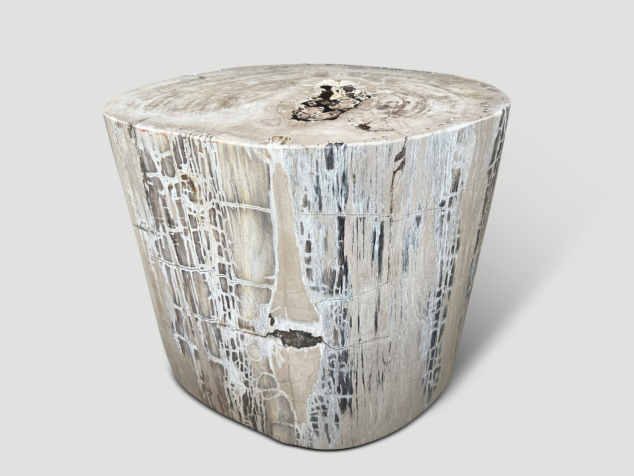 petrified wood side table