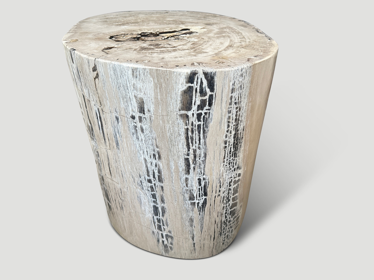 petrified wood side table