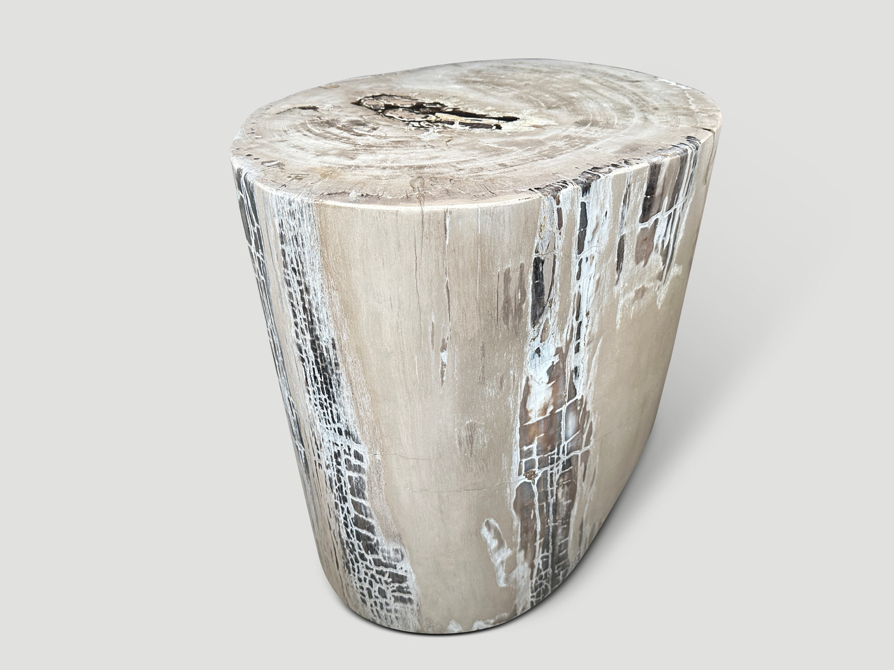 petrified wood side table