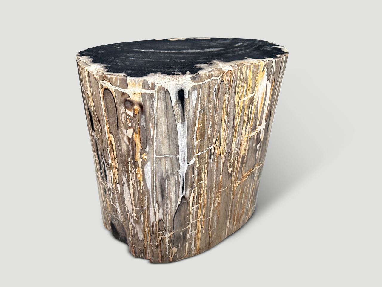 super smooth petrified wood side table