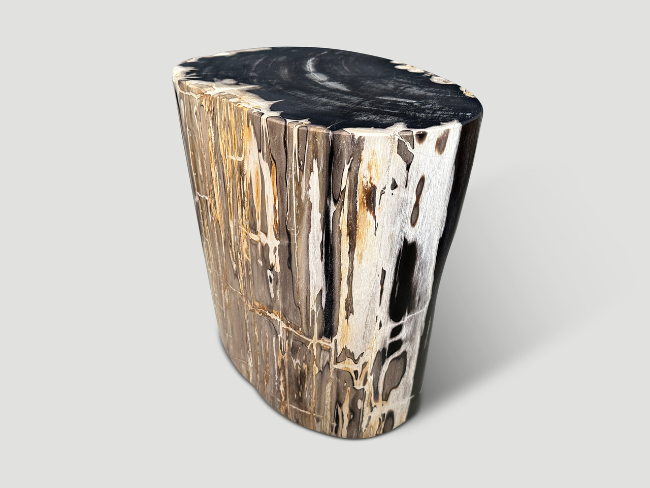 super smooth petrified wood side table