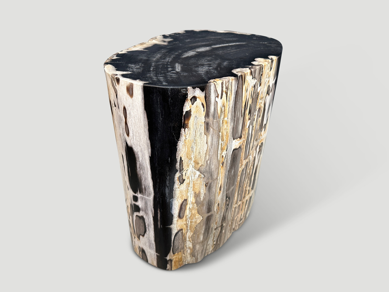 super smooth petrified wood side table