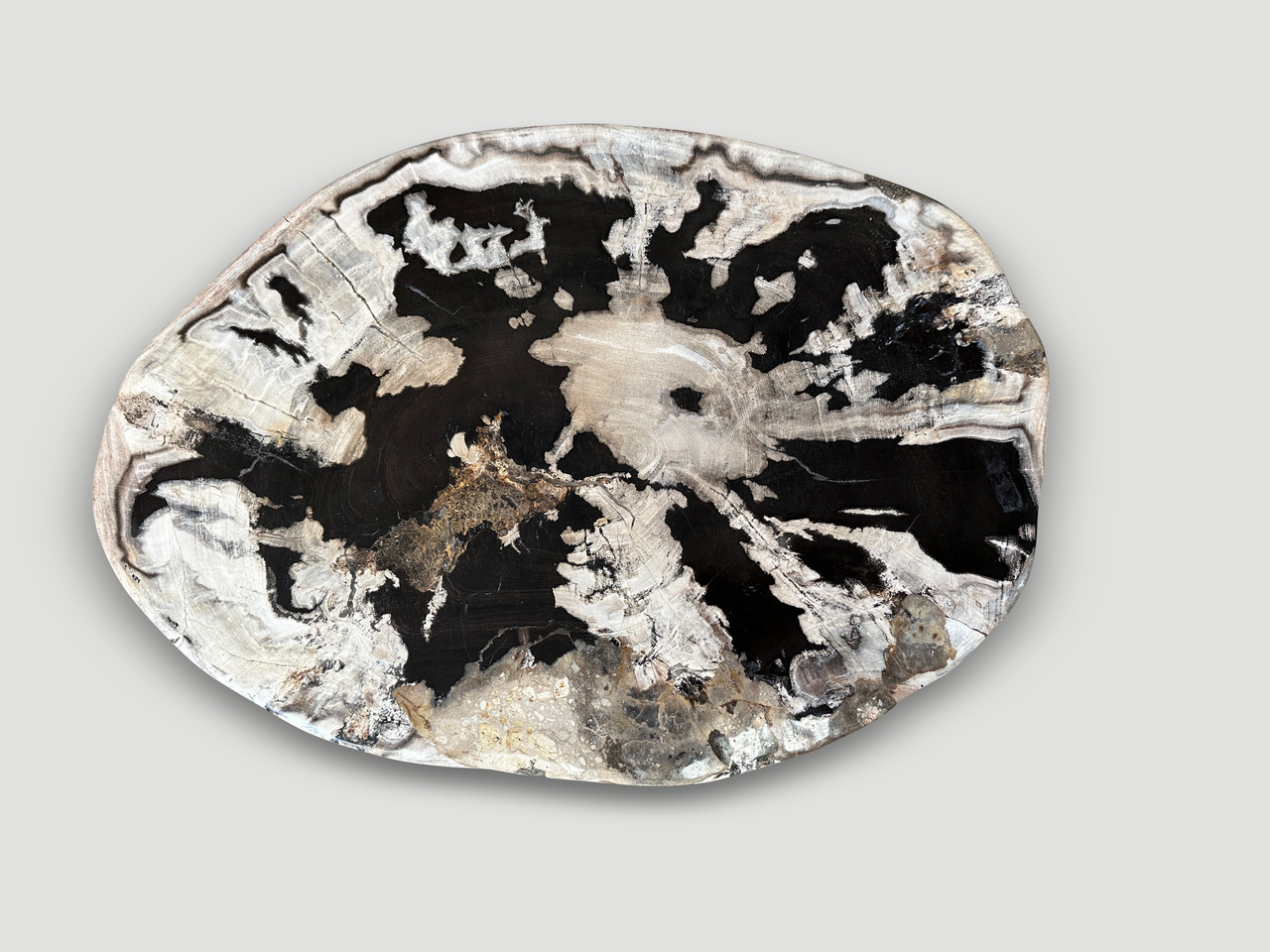 high quality petrified wood side table