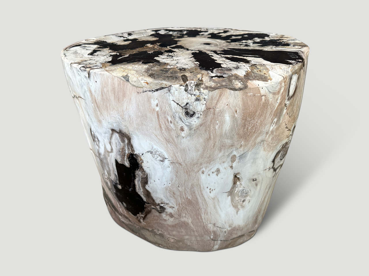 high quality petrified wood side table