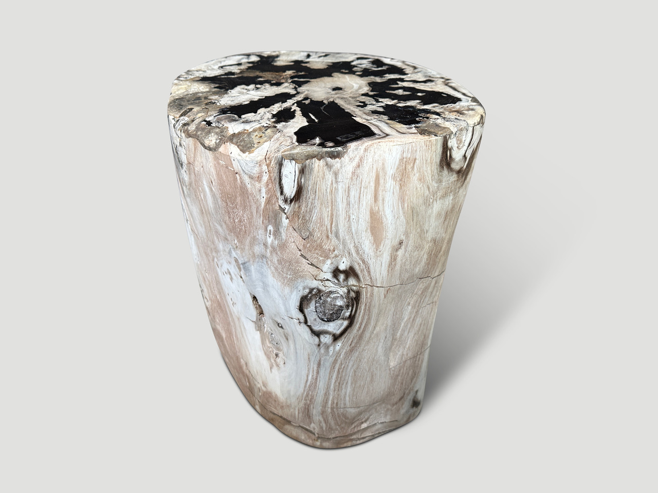 high quality petrified wood side table