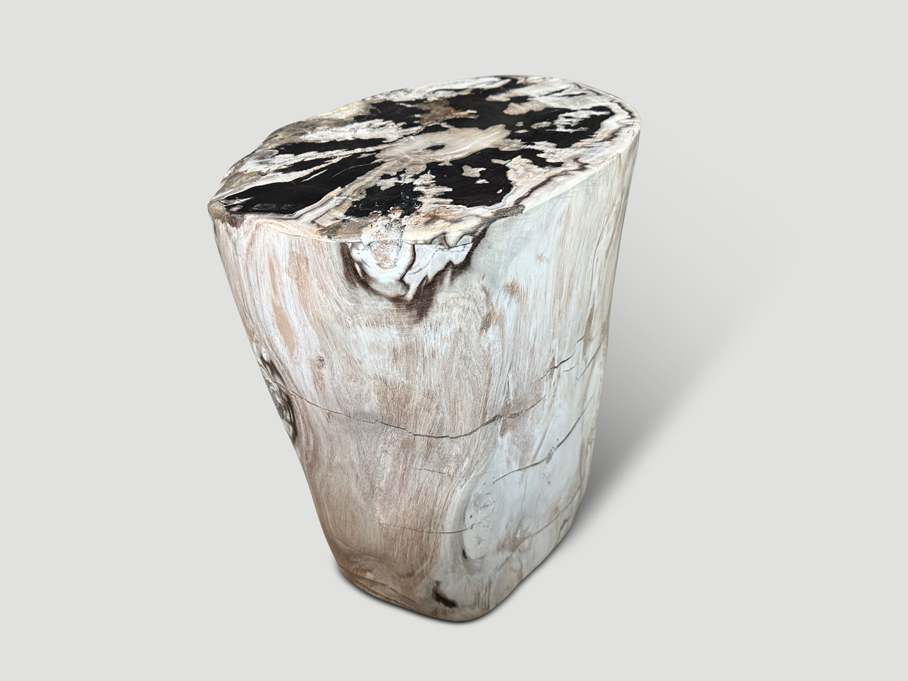 high quality petrified wood side table