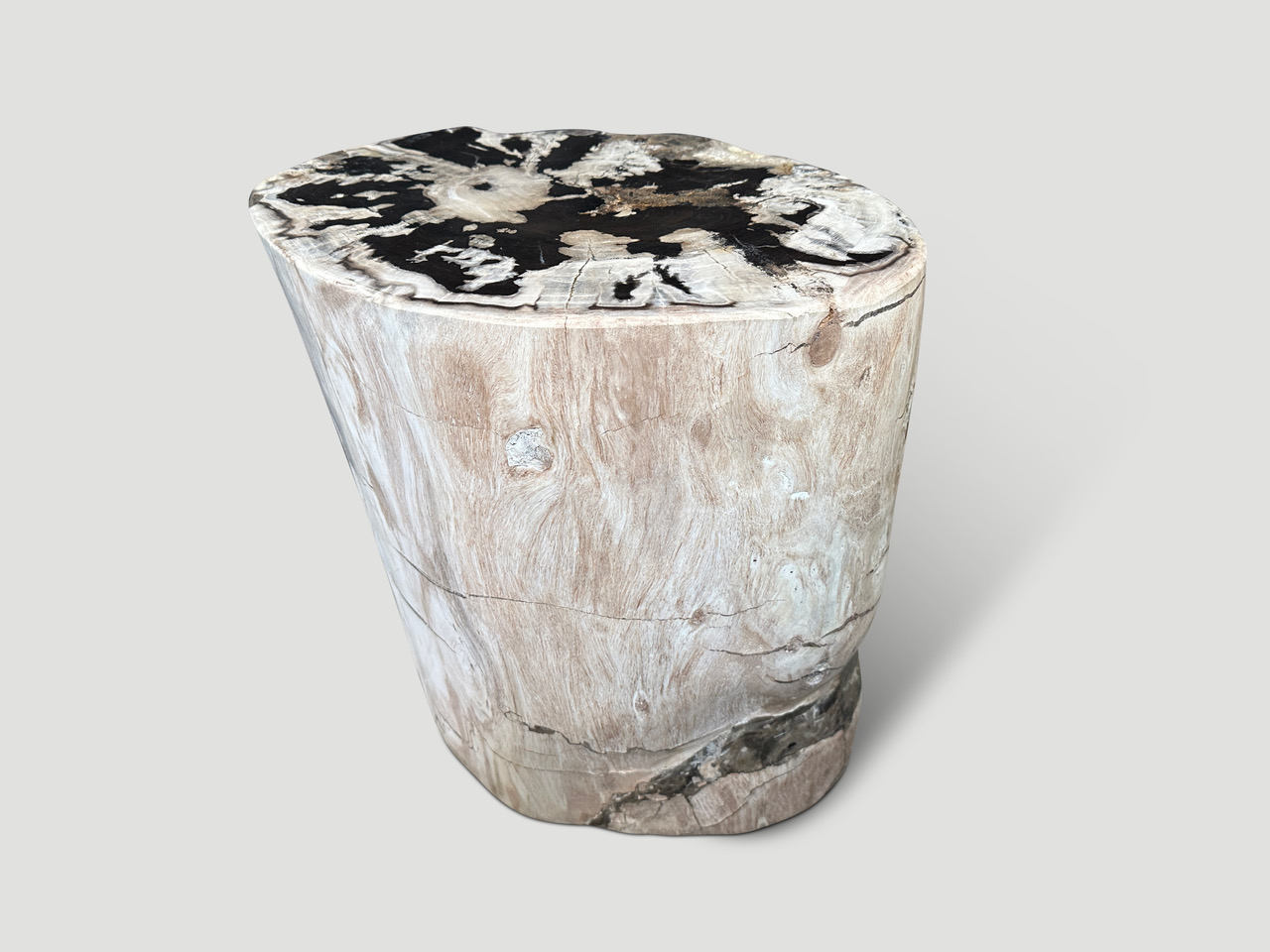 high quality petrified wood side table