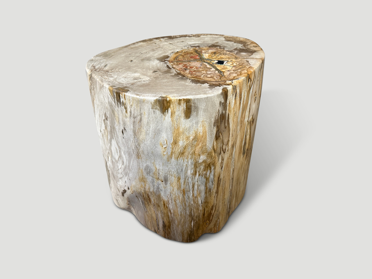 large petrified wood side table