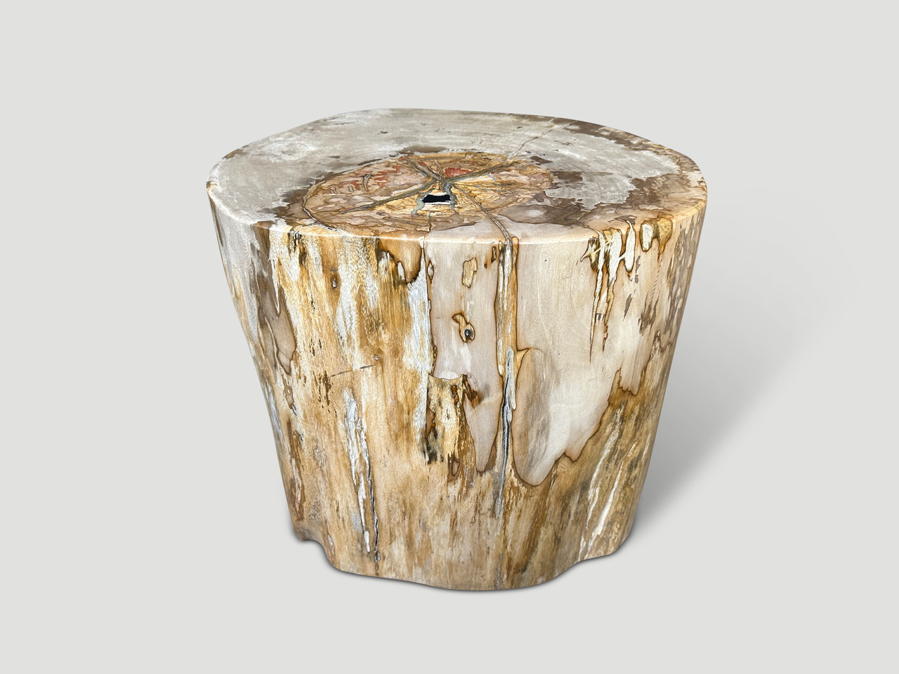 large petrified wood side table