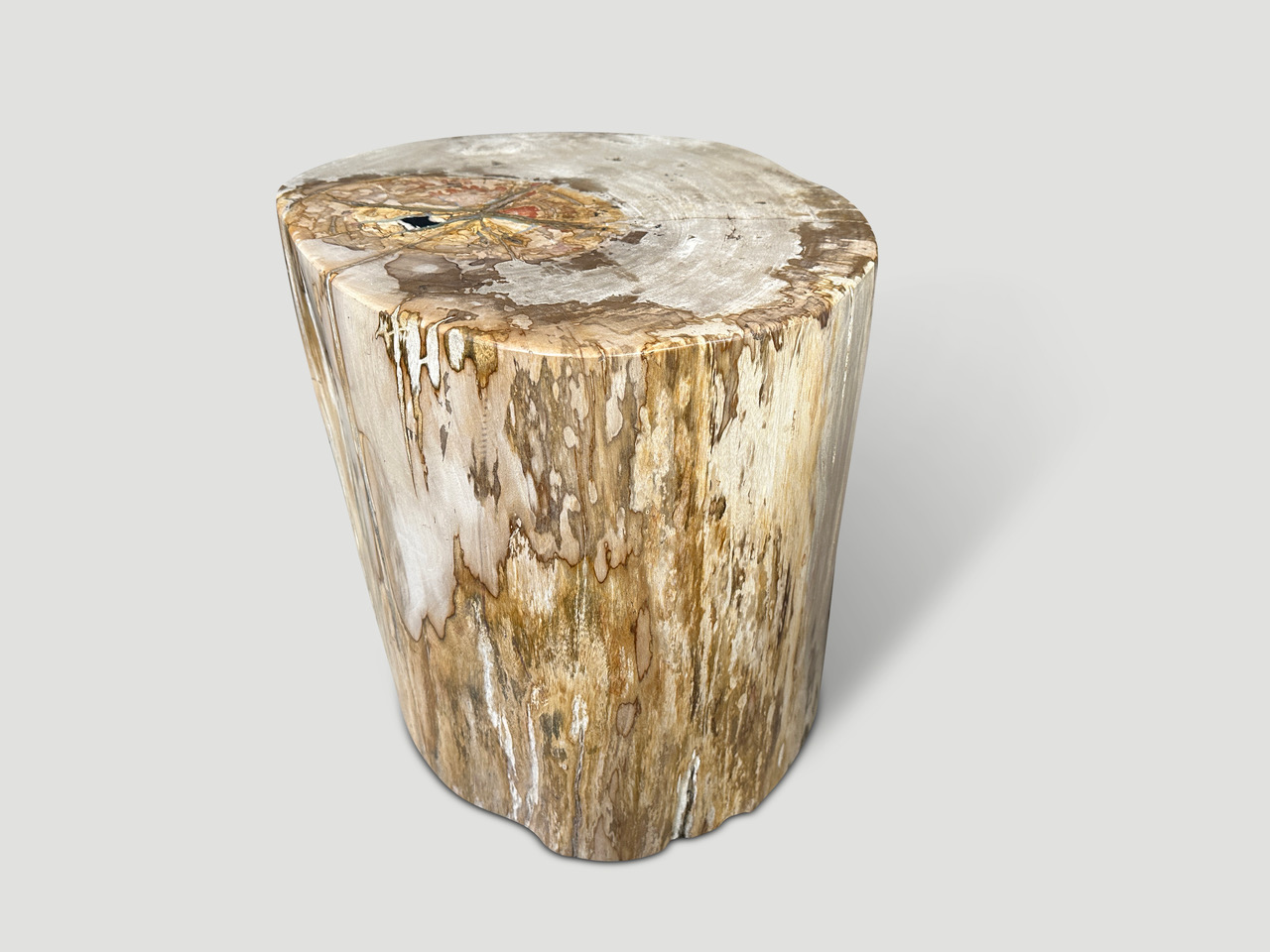 large petrified wood side table