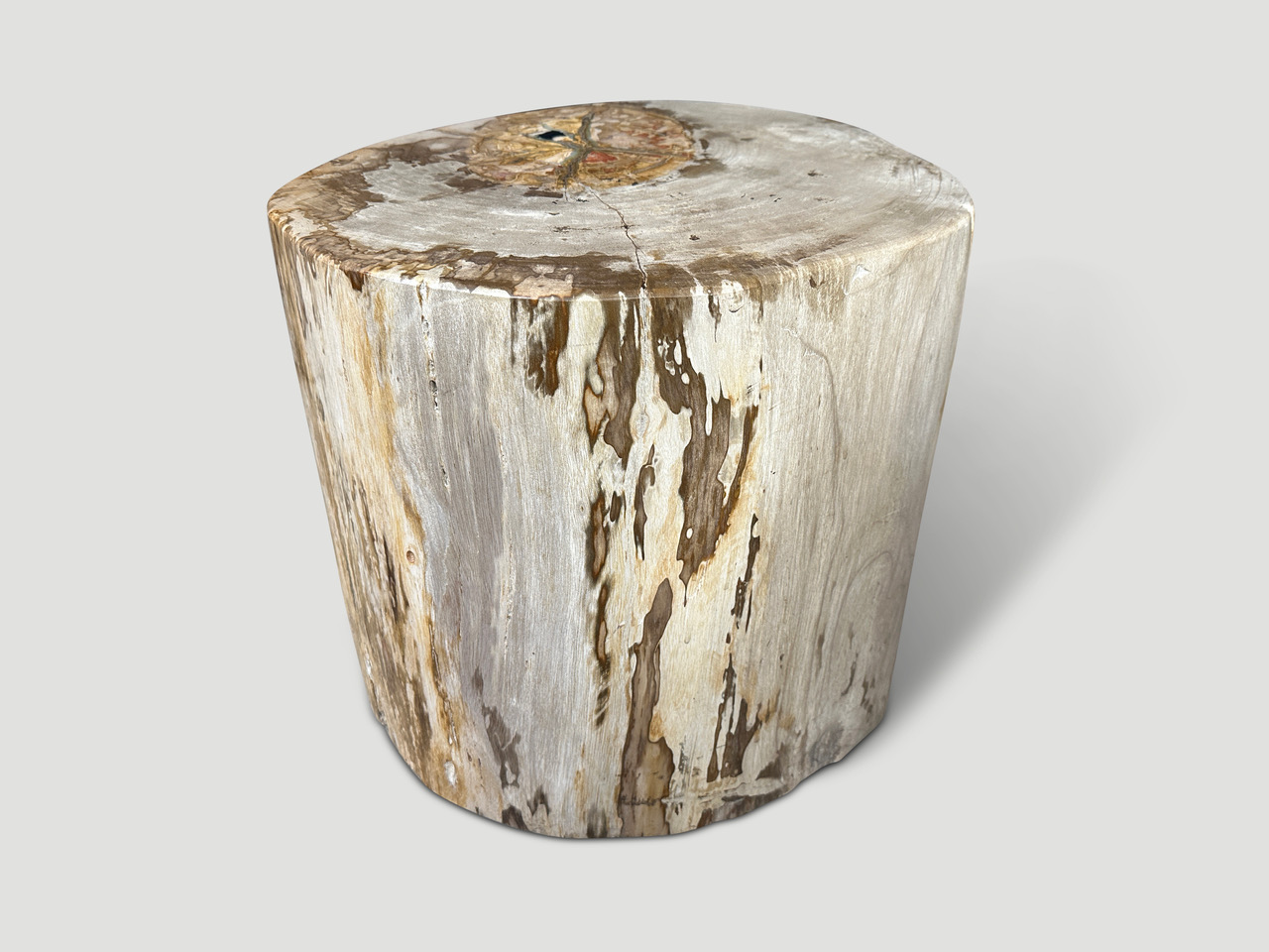 large petrified wood side table