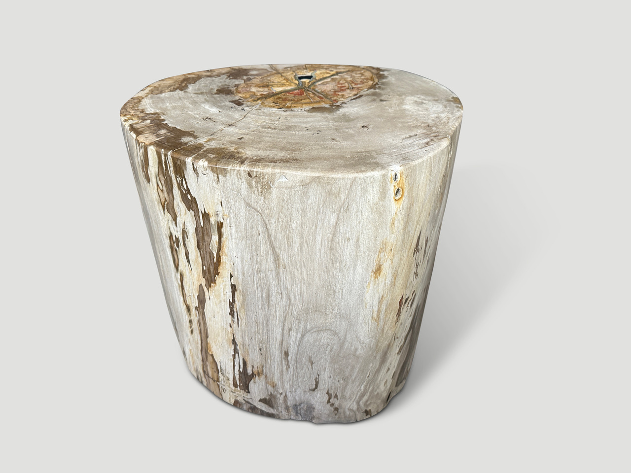 large petrified wood side table