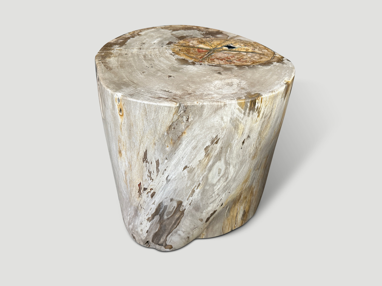 large petrified wood side table