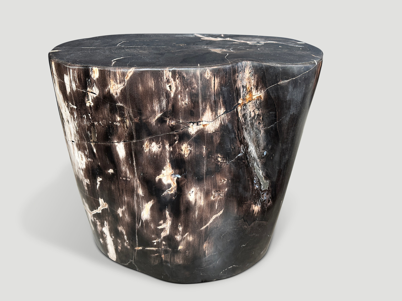 high quality super smooth, petrified wood side table