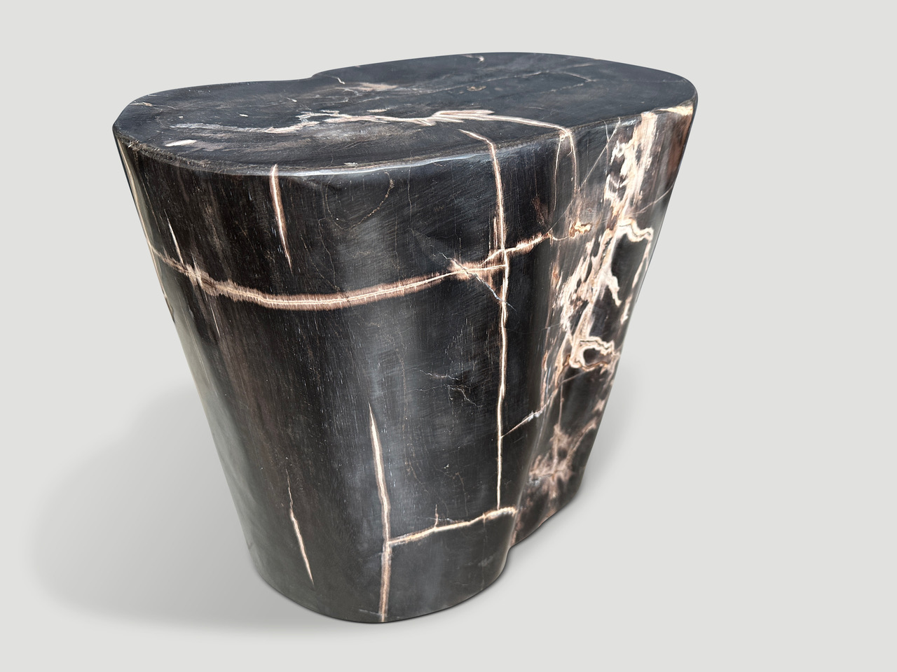 high quality super smooth, petrified wood side table