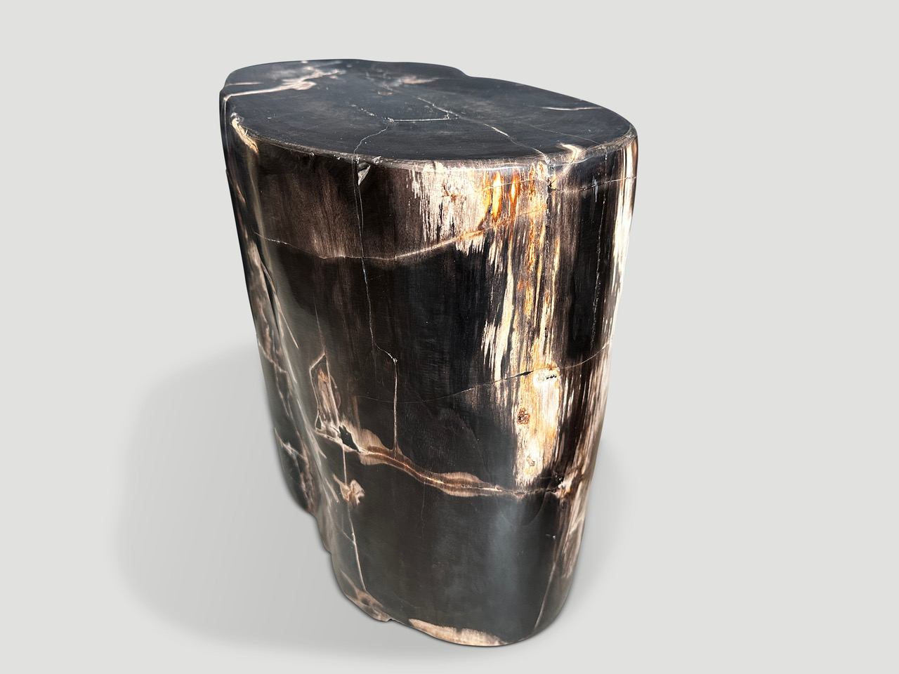 high quality super smooth, petrified wood side table