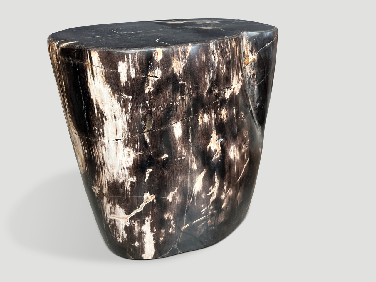 high quality super smooth, petrified wood side table