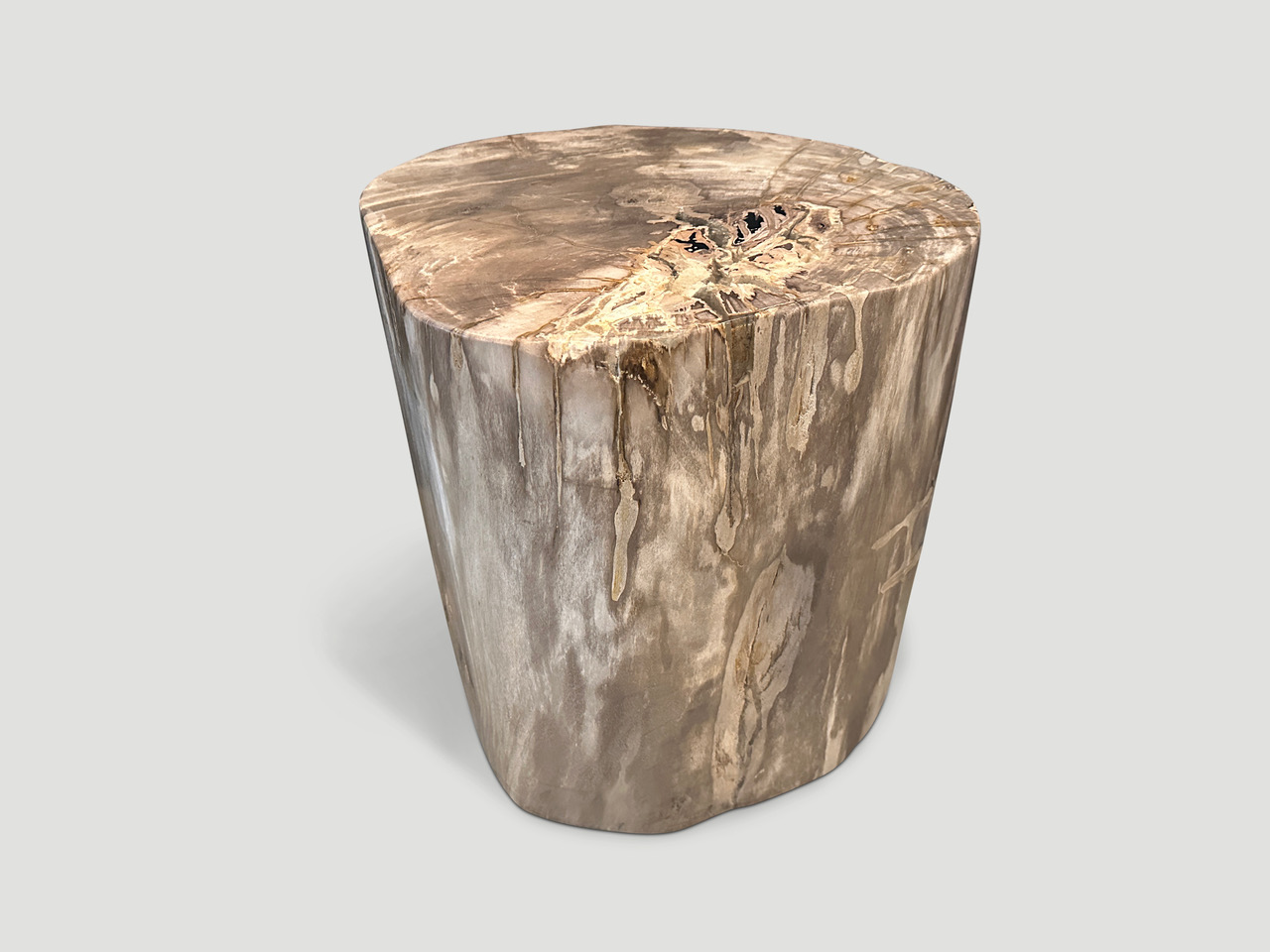 petrified wood side table