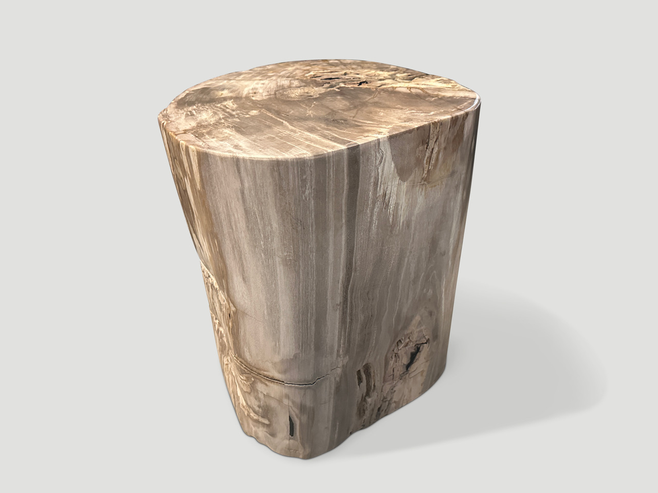 petrified wood side table