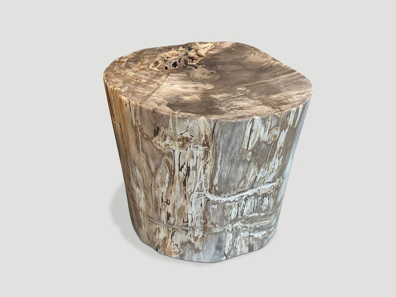 petrified wood side table