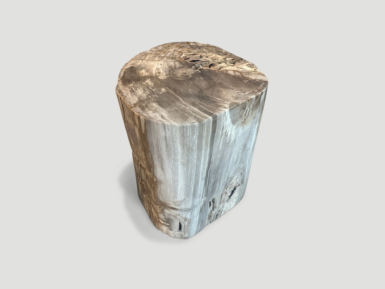 petrified wood side table