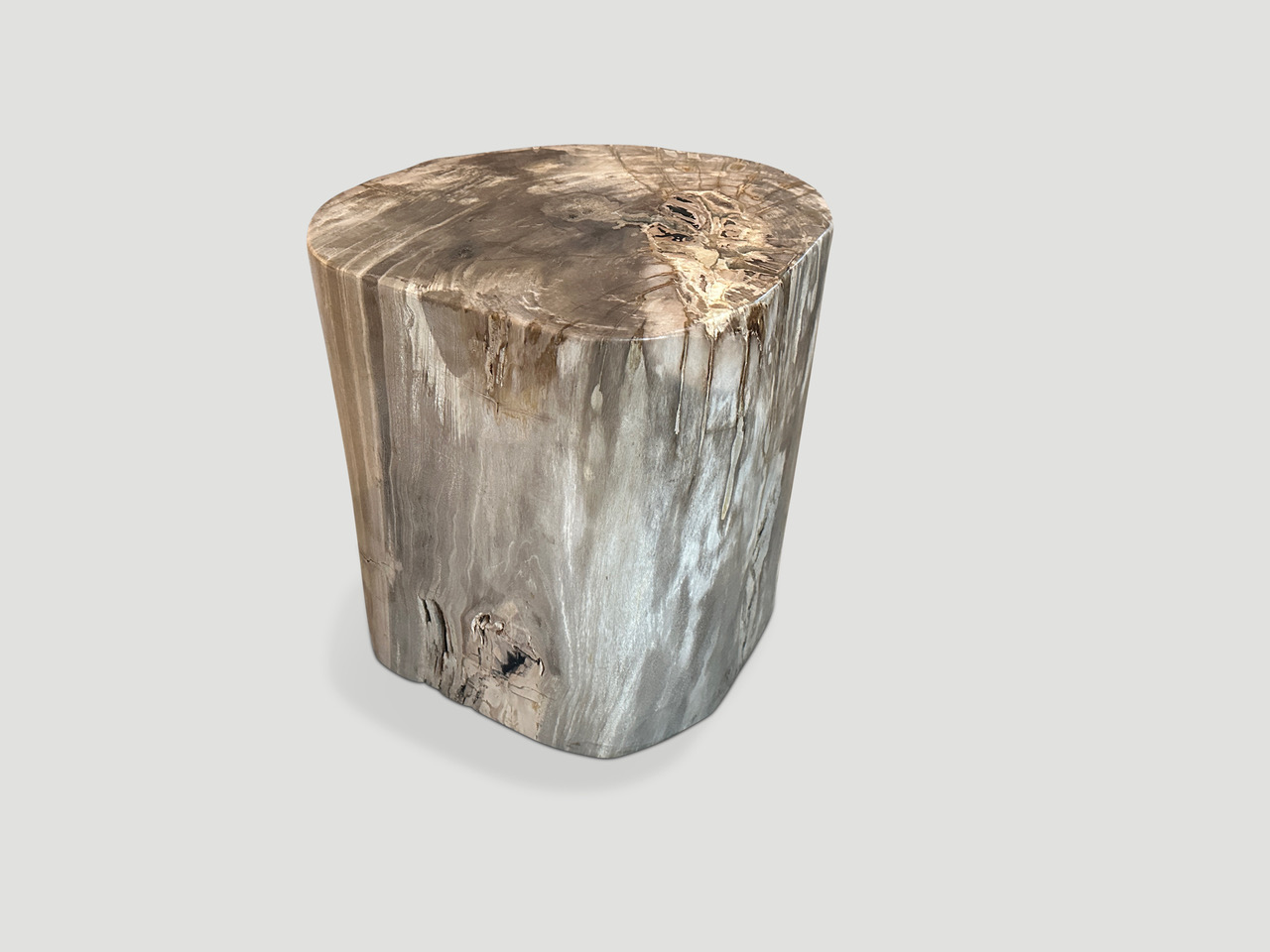 petrified wood side table