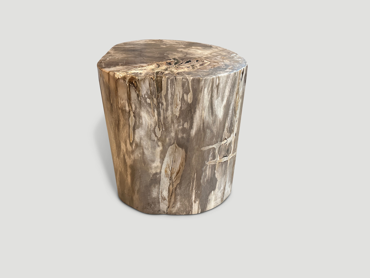 petrified wood side table