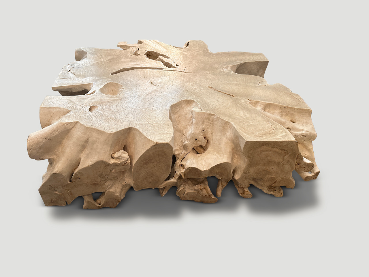 bleached organic root coffee table