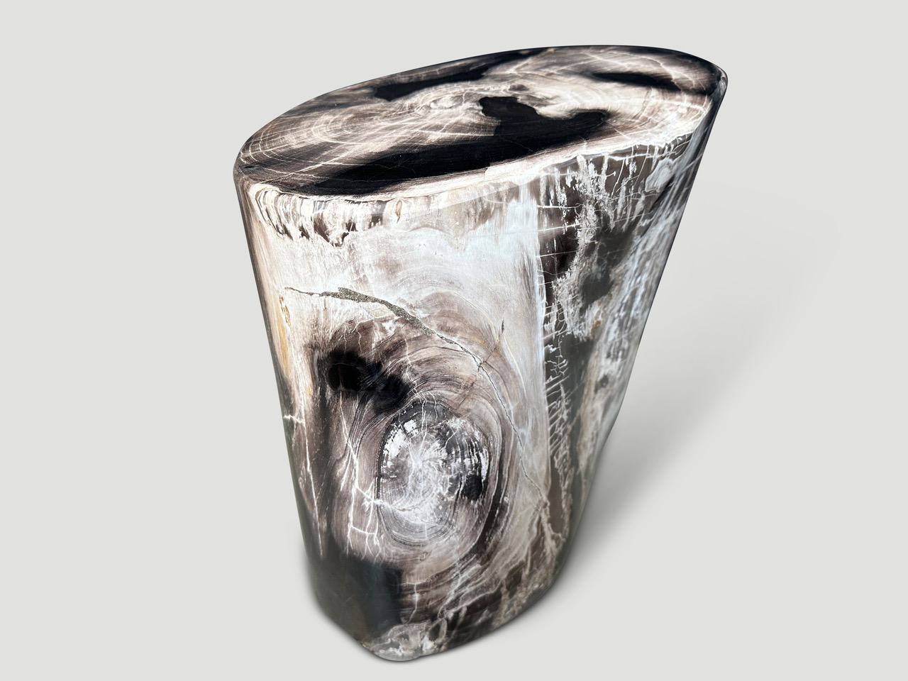 petrified wood side table