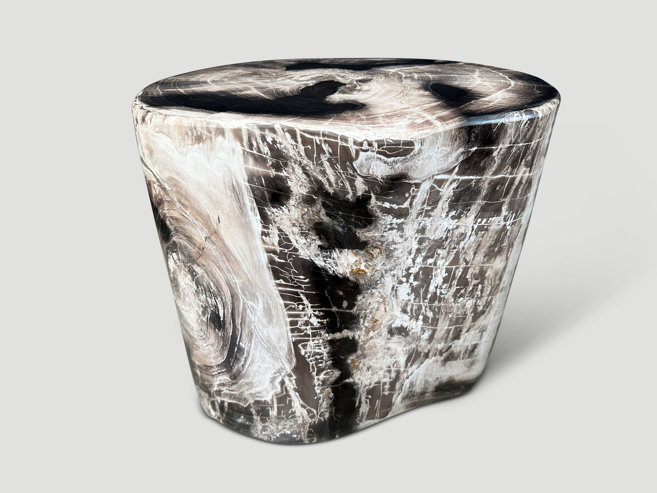 petrified wood side table