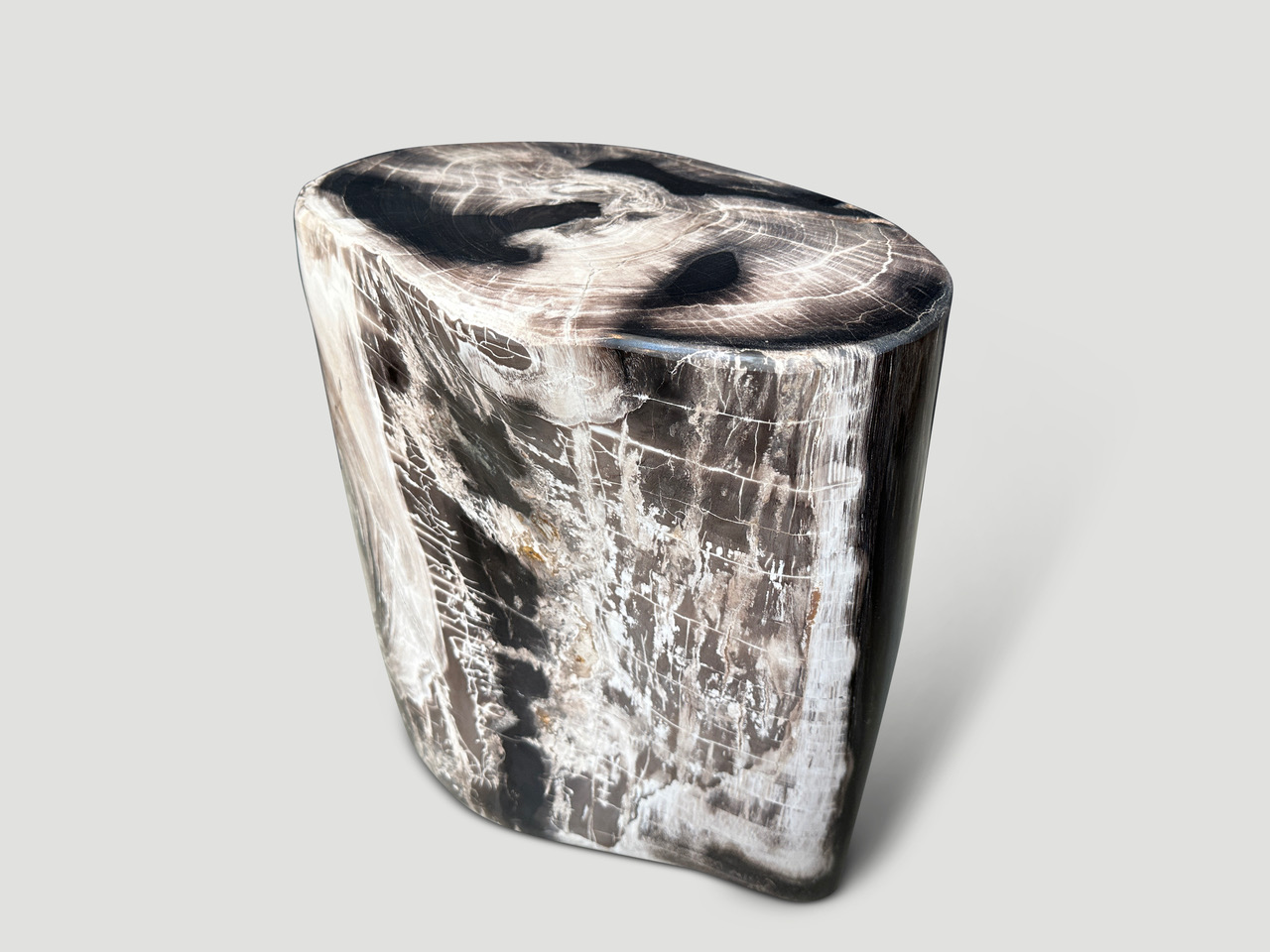 petrified wood side table