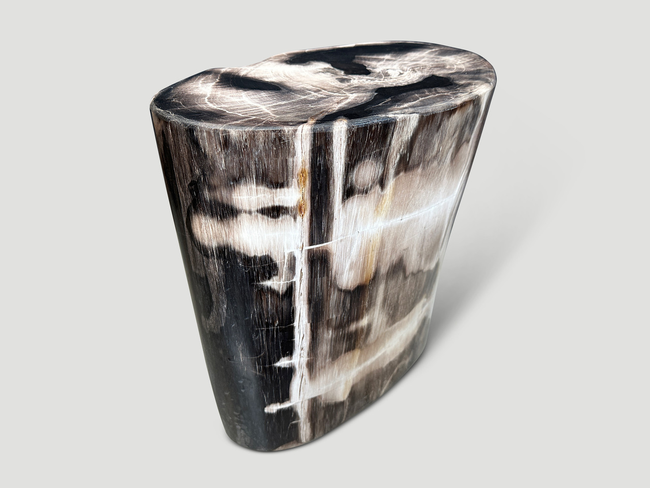 petrified wood side table