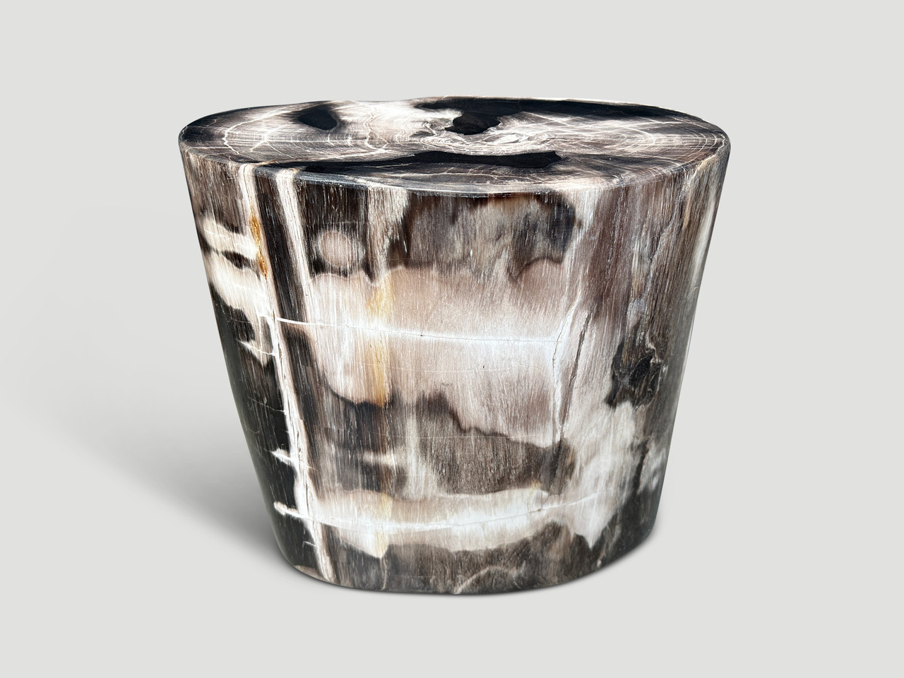 petrified wood side table