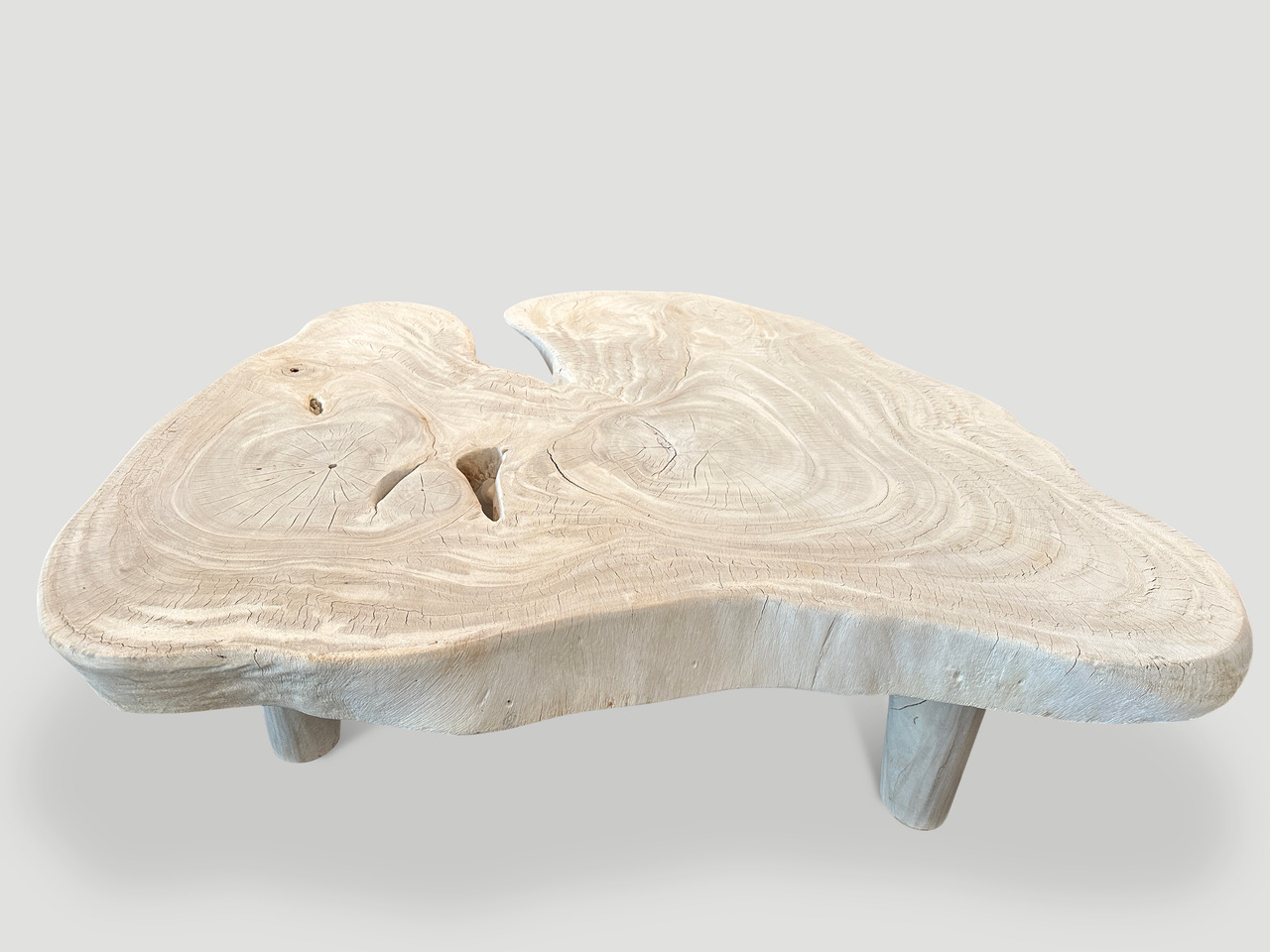 amorphous mid century style bleached suar wood coffee table