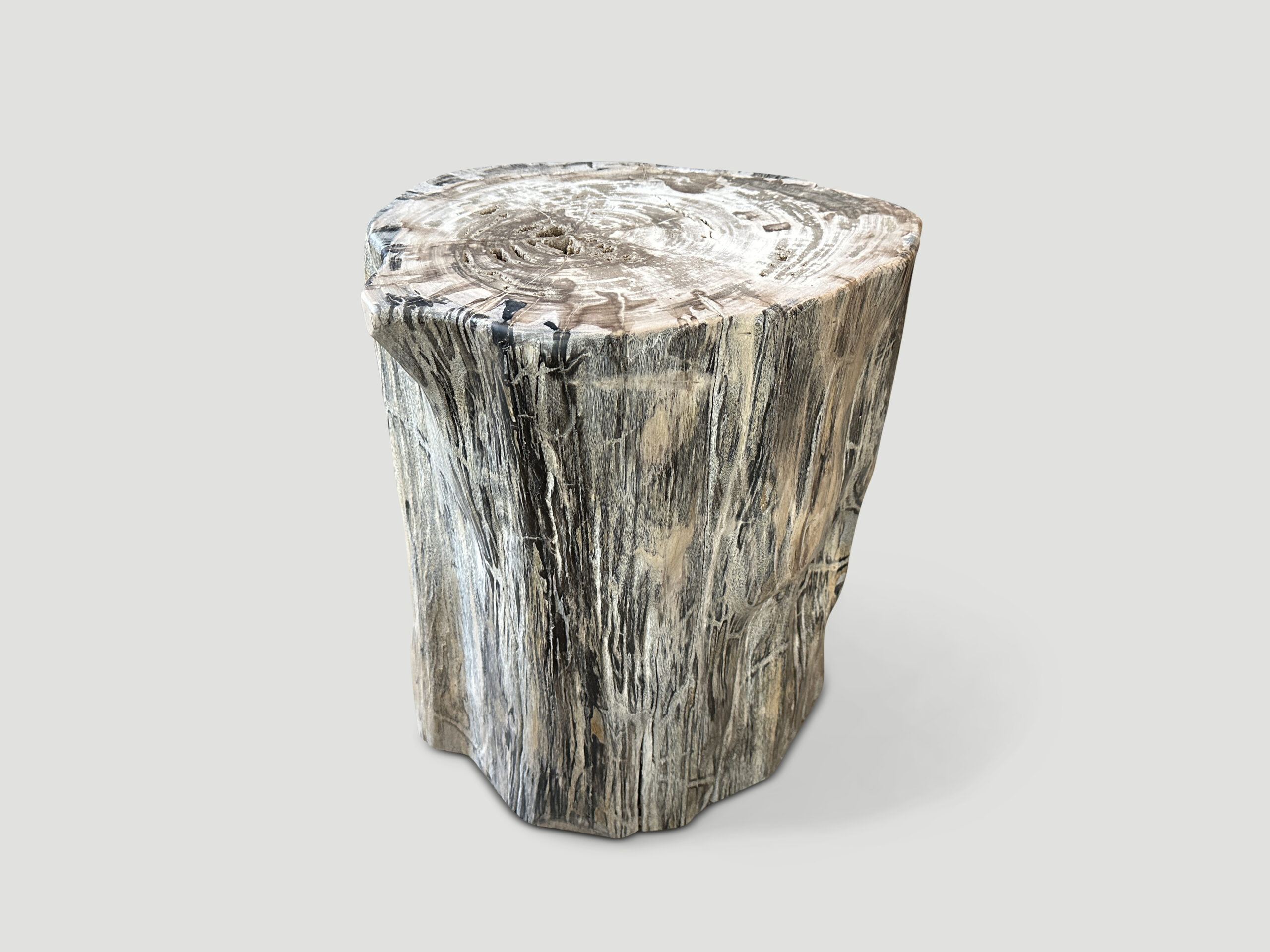 petrified wood side table