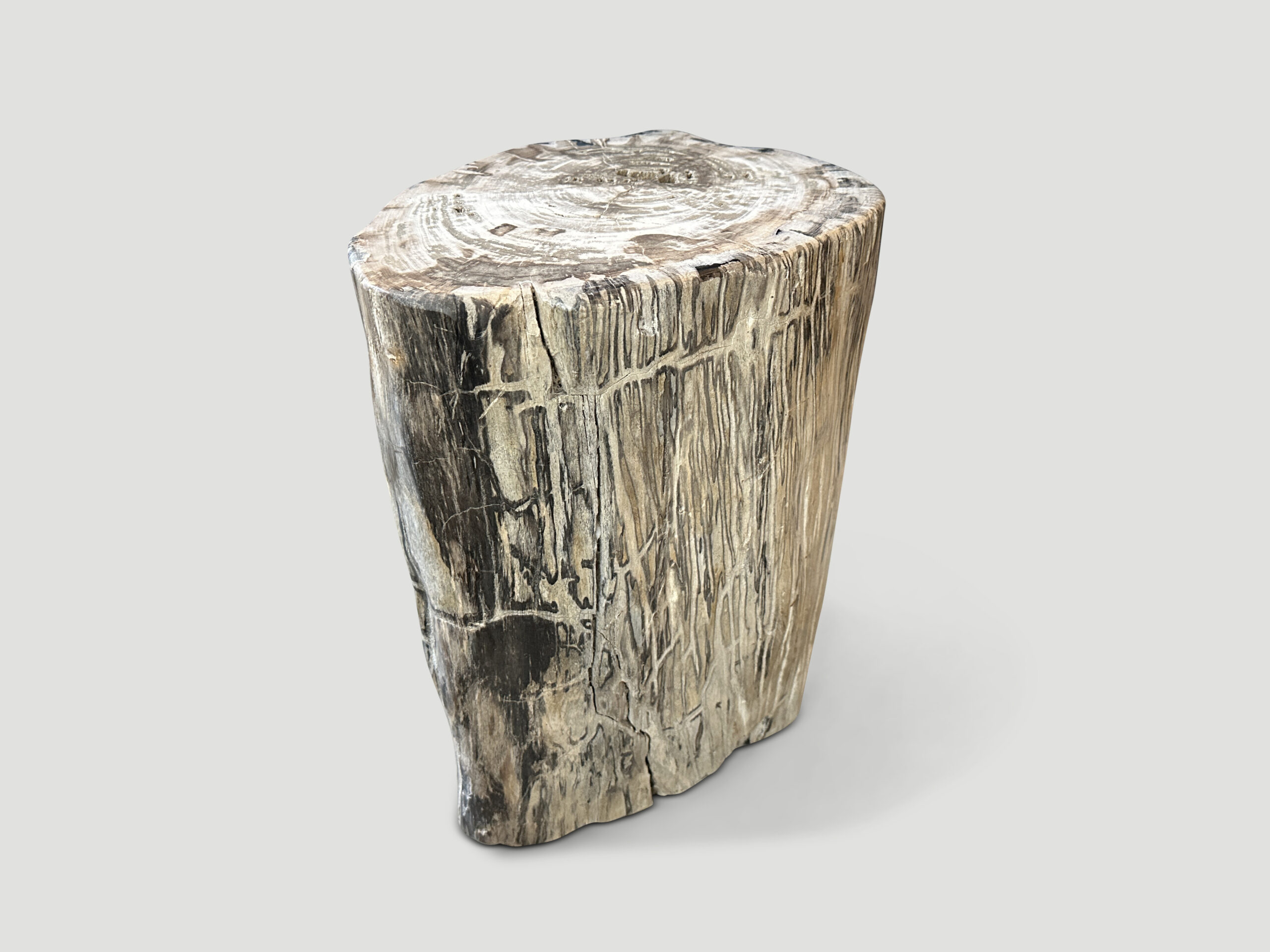 petrified wood side table