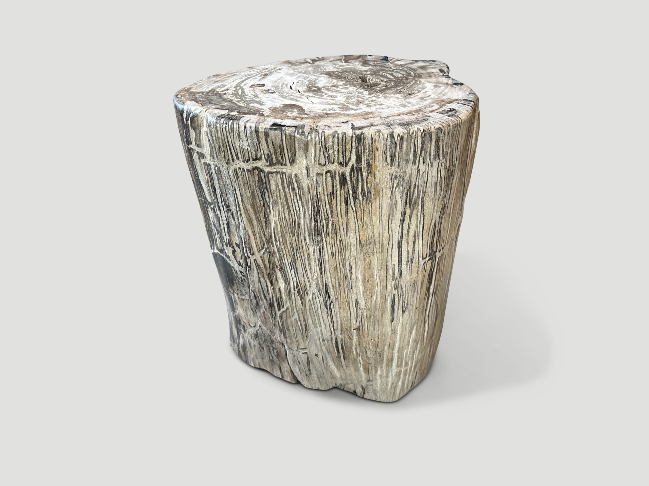 petrified wood side table