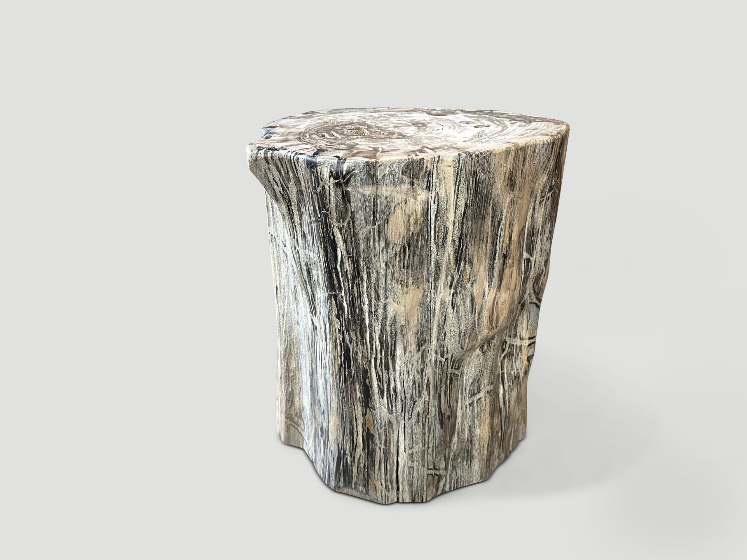 petrified wood side table