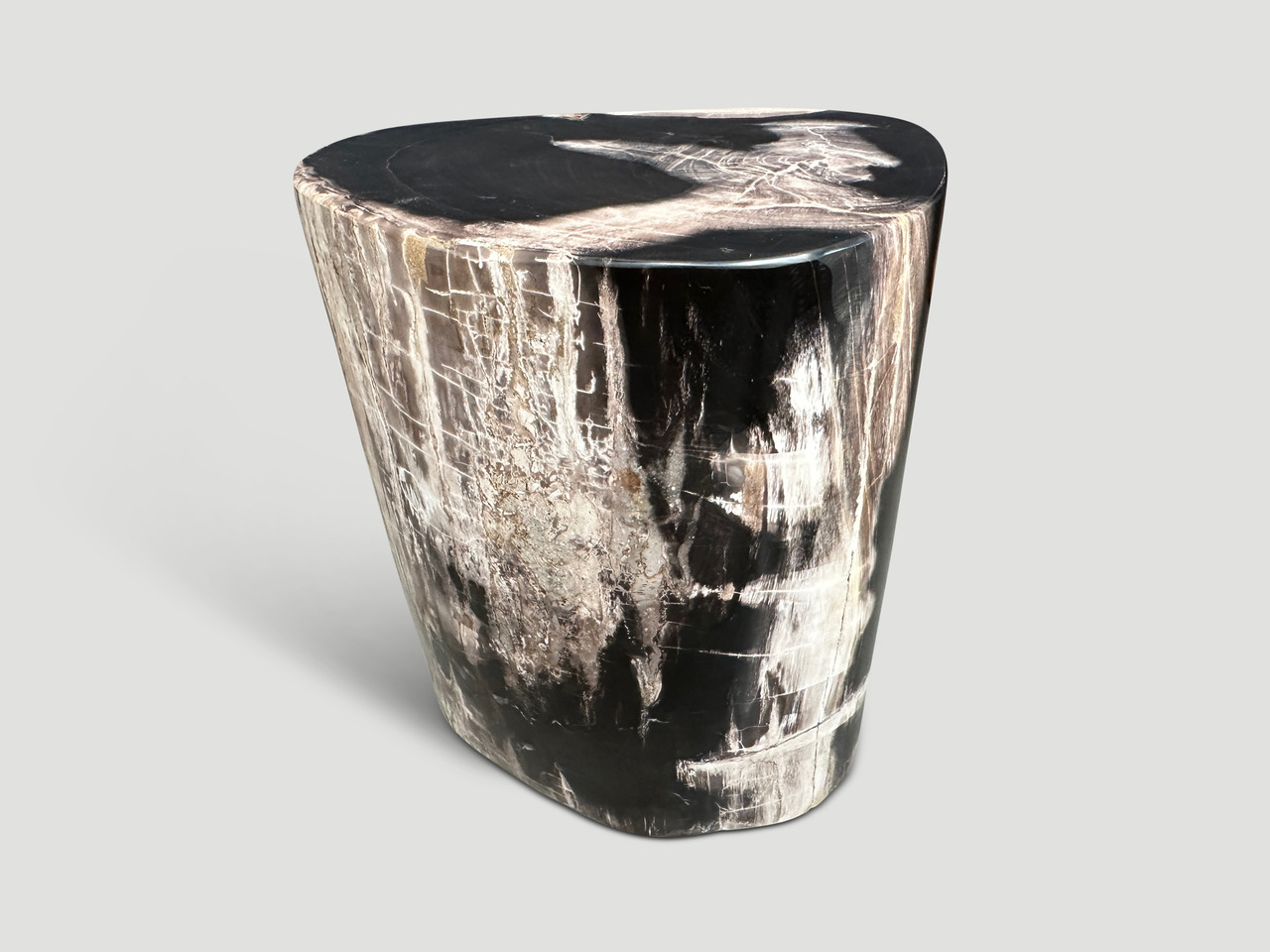 high quality petrified wood side table