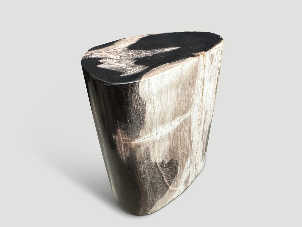 high quality petrified wood side table