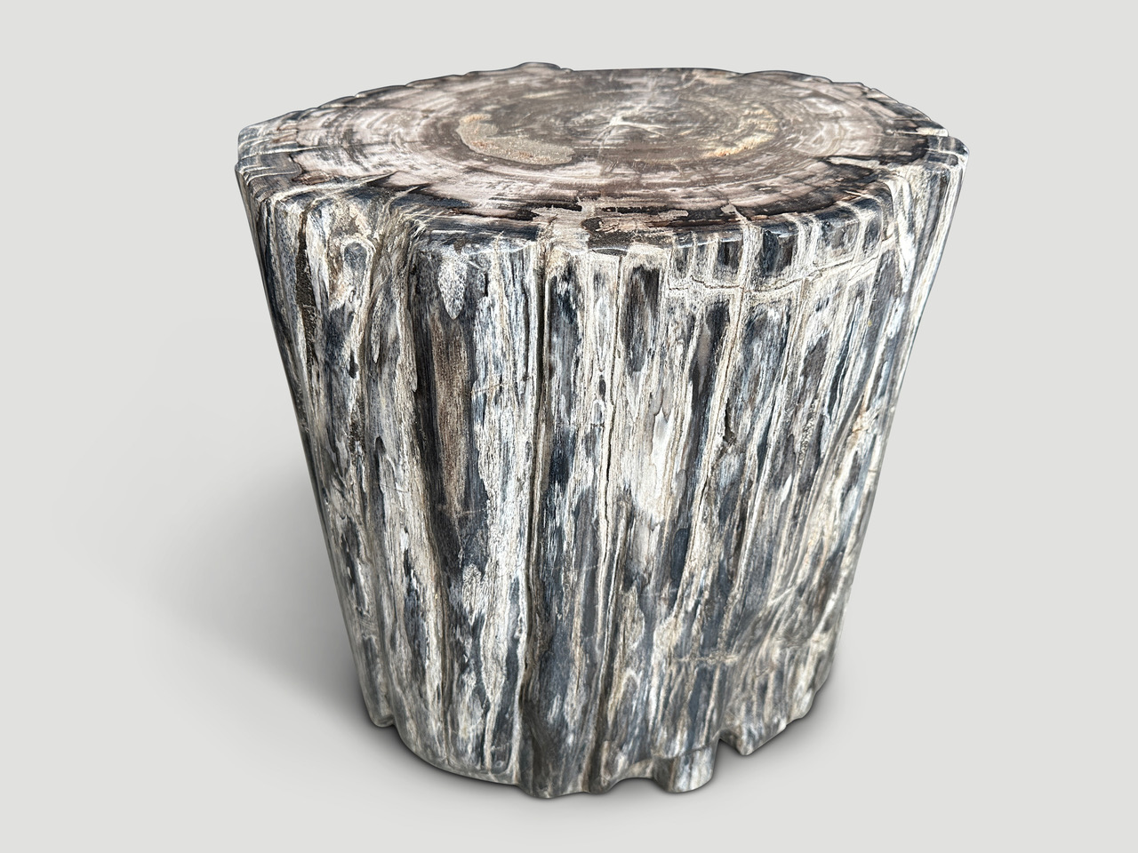 petrified wood side table