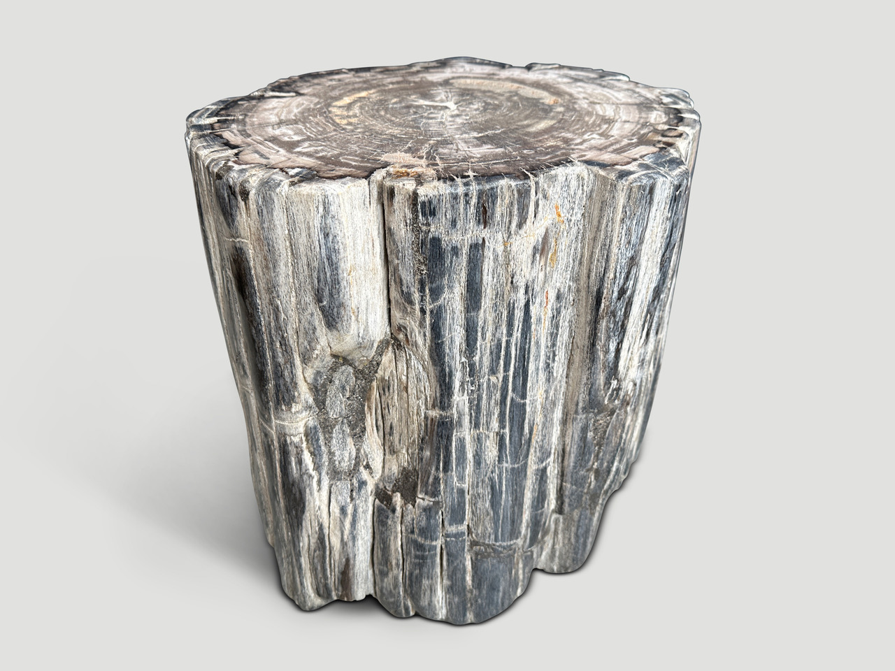 petrified wood side table