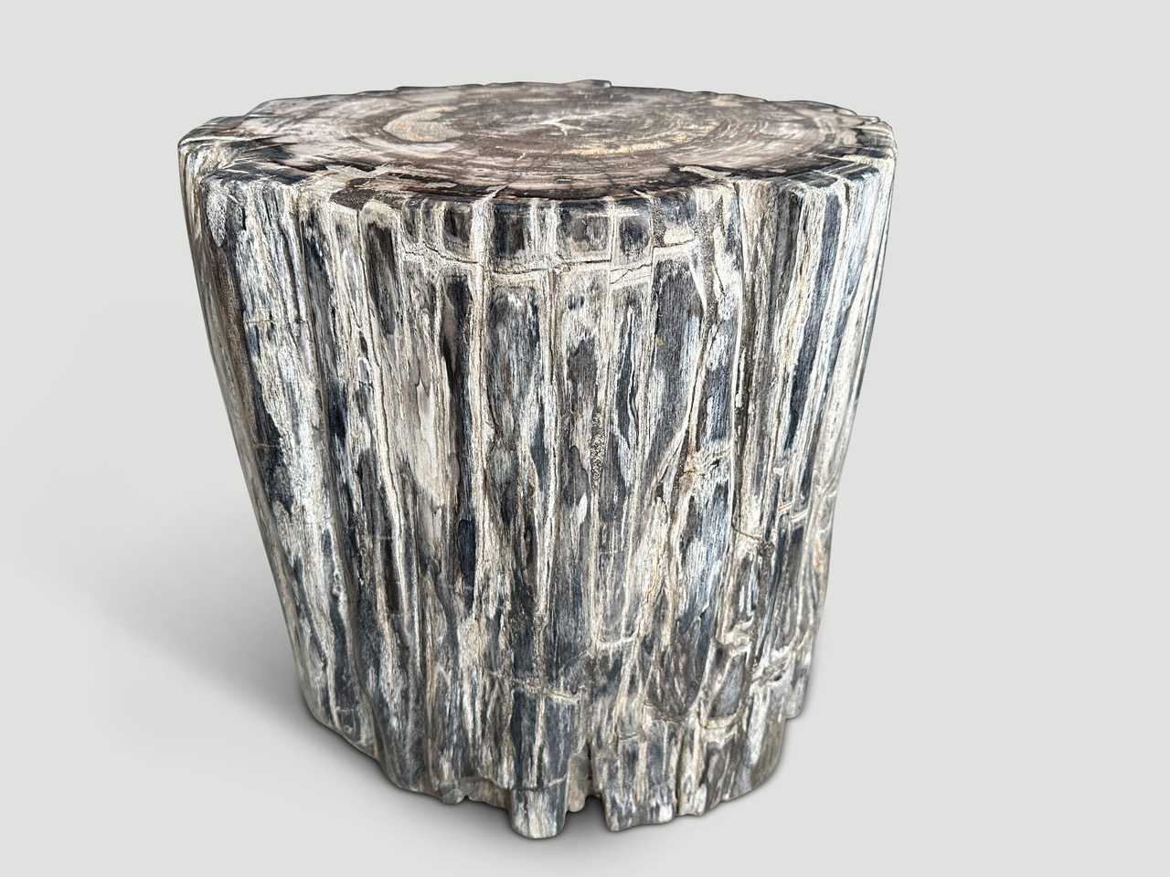 petrified wood side table