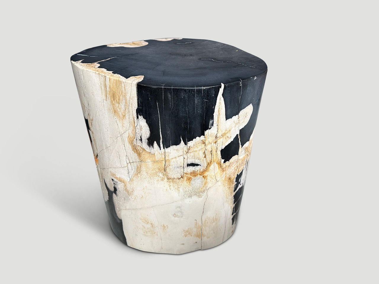 smooth petrified wood side table