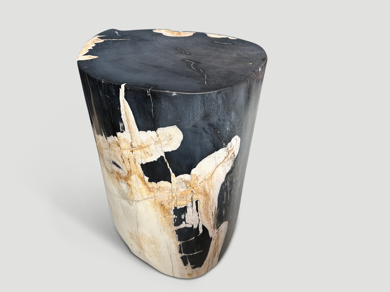 smooth petrified wood side table