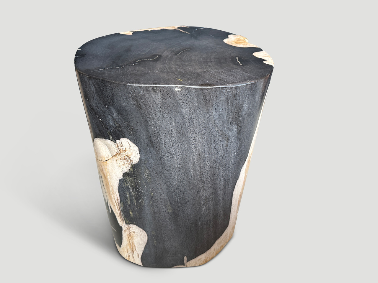 smooth petrified wood side table